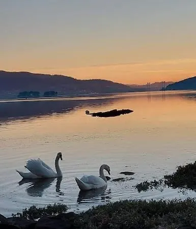 Loft Garboa Hébergement de vacances Vilaboa